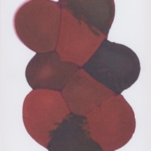 rubum et purpura botrum portassent, 58 x 41 inches, mixed media on cotton