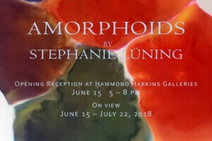 Amorphoids - Stephanie Luening June 15 - July 22, 2018