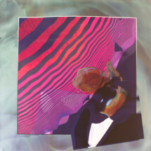 Fractal of Daughter (Wonder), Digital collage on vinyl, 48 x 47 ½ inches
