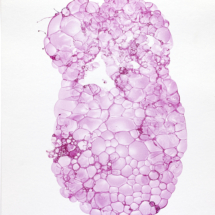 Pink Cross-Section I, soap bubbles and ink on paper, 20 x 14 inches 