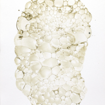 Umber Cross-Section III, soap bubbles and ink on paper, 20 x 14 inches 